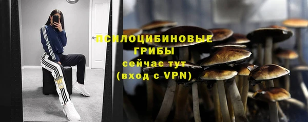 трава Осинники