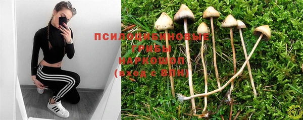трава Осинники