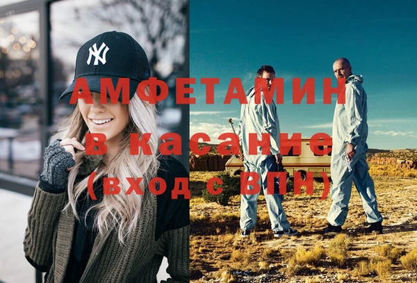 стаф Галич