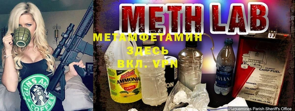 трава Осинники