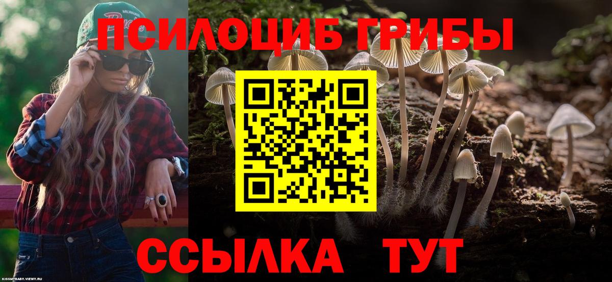 Псилоцибиновые грибы Psilocybine cubensis  Вход с VPN  Мурманск 