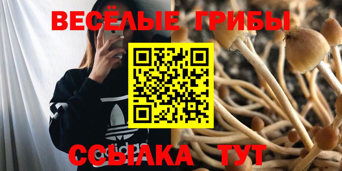 Каннабис  Мурманск  Вход с VPN  A-PVP СОЛЬ   ГАШИШ  Мефедрон   Кокаин 